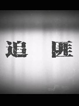 电影：追匪
