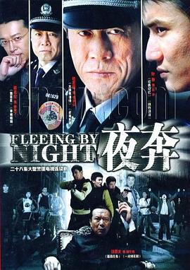 电影：夜奔2007