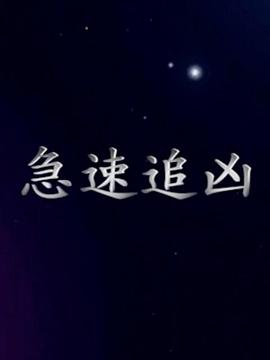 电影：急速追凶