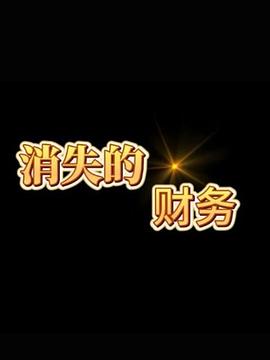 电影：消失的财务