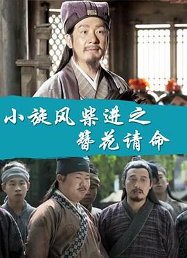电影:小旋风柴进之簪花请命