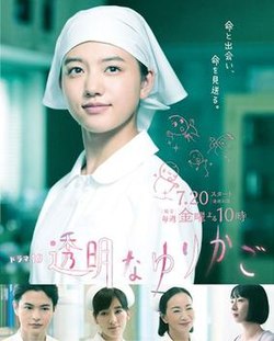 电影：透明的摇篮