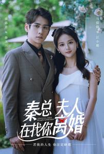 电影：秦总，夫人在找你离婚