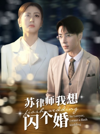 电影：苏律师我想闪个婚$苏大律的社畜女友
