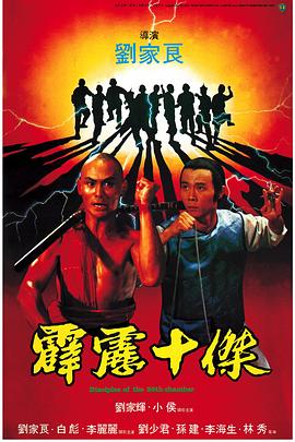 电影:霹雳十杰国语
