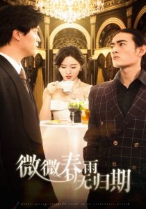 电影：微微春雨无归期