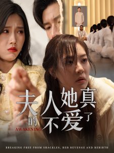 电影：夫人她真的不爱了