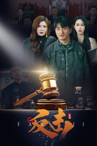 电影：反击41集