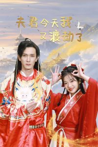 电影：夫君今天我又渡劫了