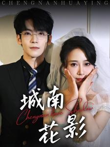 电影：城南花影