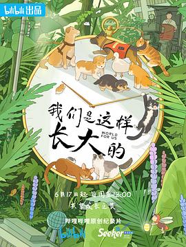 电影：我们是这样长大的