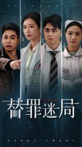 电影：替罪迷局