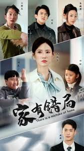 电影：家有错局