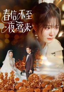 电影：春信不至夜莺来