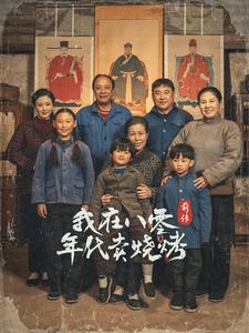 电影：穿越六零带着好运系统养全家