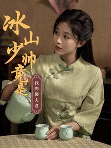 电影：冰山少帅竟是我的傻夫君