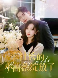 电影：季社长的小蔷薇绽放了