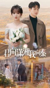 电影：君向潇湘我向秦