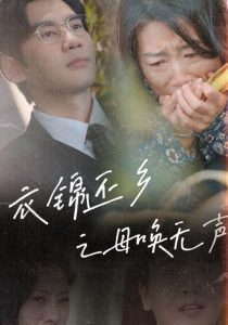 电影：衣锦还乡之母唤无声
