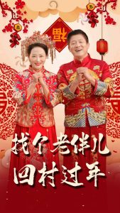 电影：找个老伴儿回村过年