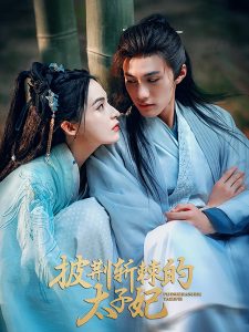 电影：披荆斩棘的太子妃