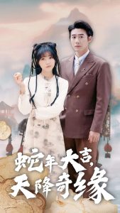 电影：蛇年大吉天降奇缘