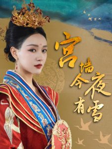 电影：宫墙今夜有雪
