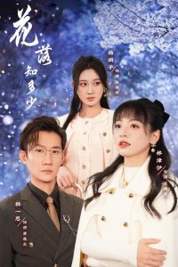 电影：花落知多少