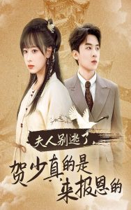 电影：夫人别逃了贺少真的是来报恩的