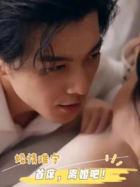 电影：婚情难守：首席，离婚吧