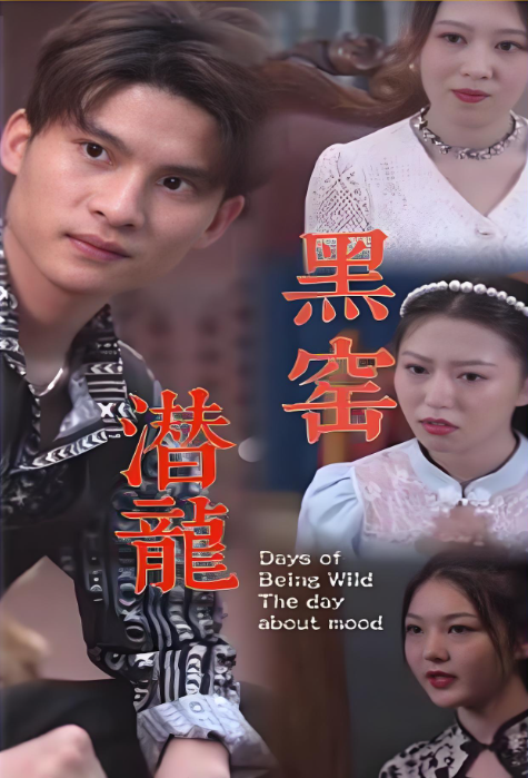 电影：黑窑潜龙