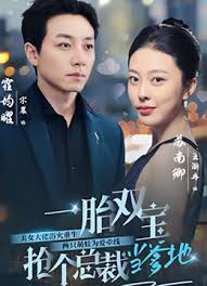 电影：一胎双宝，抢个总裁当爹地