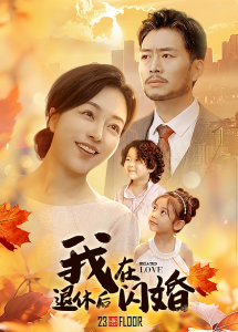 电影：我在退休后闪婚