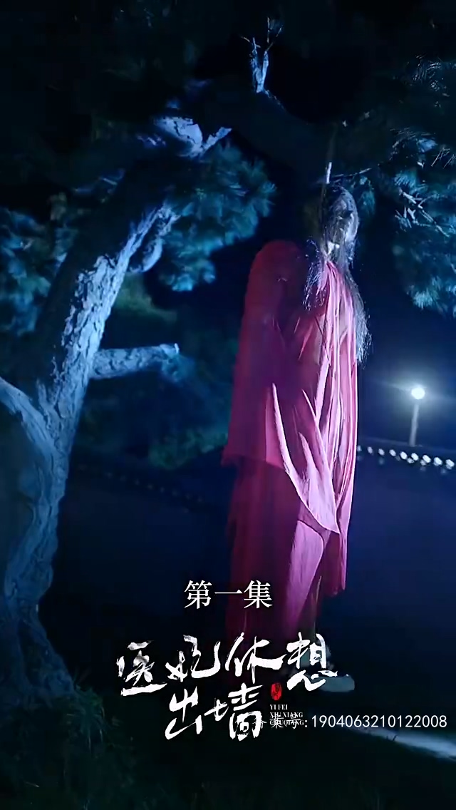 电影：医妃休想出墙