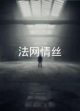 电影：法网情丝粤语