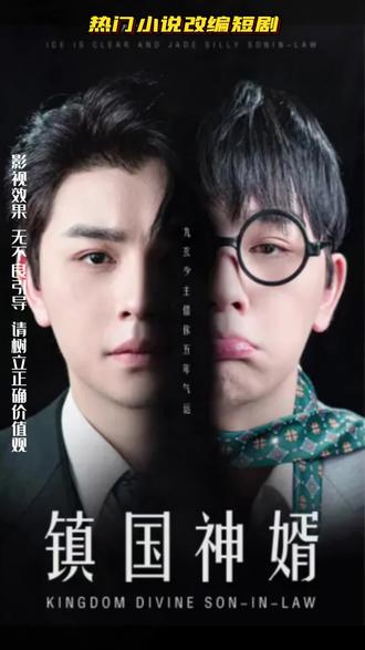 电影：镇国神婿