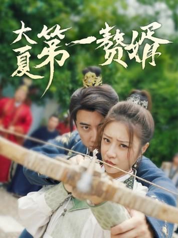 电影：大夏第一赘婿