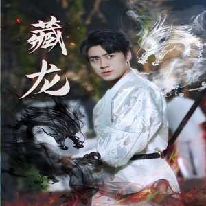 电影：藏龙74集版