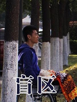 电影：盲区