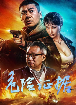 电影：危险证据2024