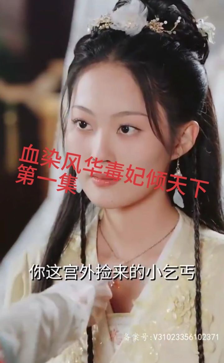 电影：血染风华毒妃倾天下