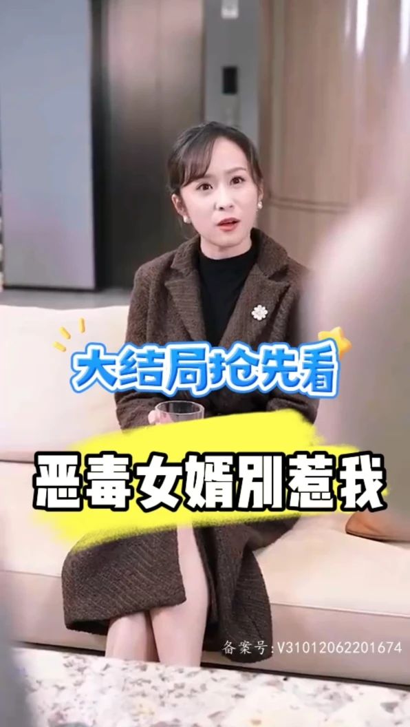 电影：恶毒女婿别惹我