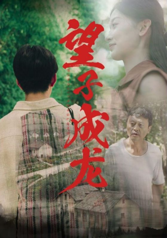 电影：望子成龙