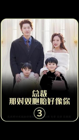 电影：总裁，那对双胞胎好像你