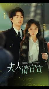 电影：夫人请官宣