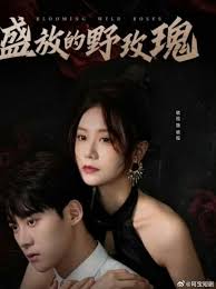 电影：盛放的野玫瑰