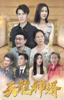 电影：天龙神婿