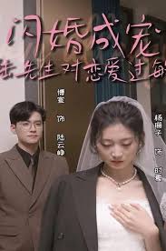 电影：闪婚成宠，陆先生对恋爱过敏