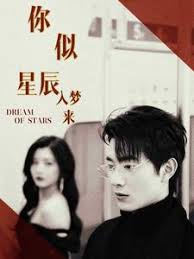 电影：你似星辰入梦来