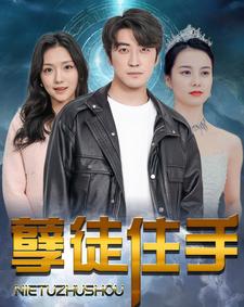 电影：孽徒住手